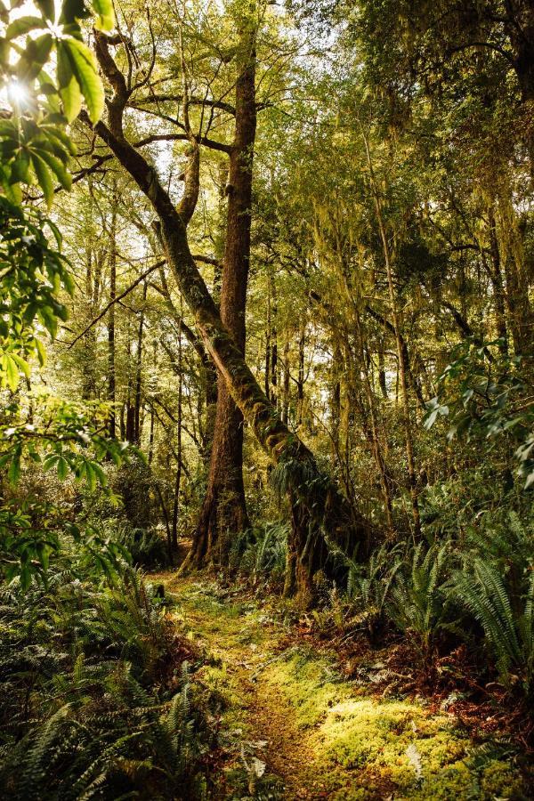 Maruia River Retreat Shenandoah المظهر الخارجي الصورة